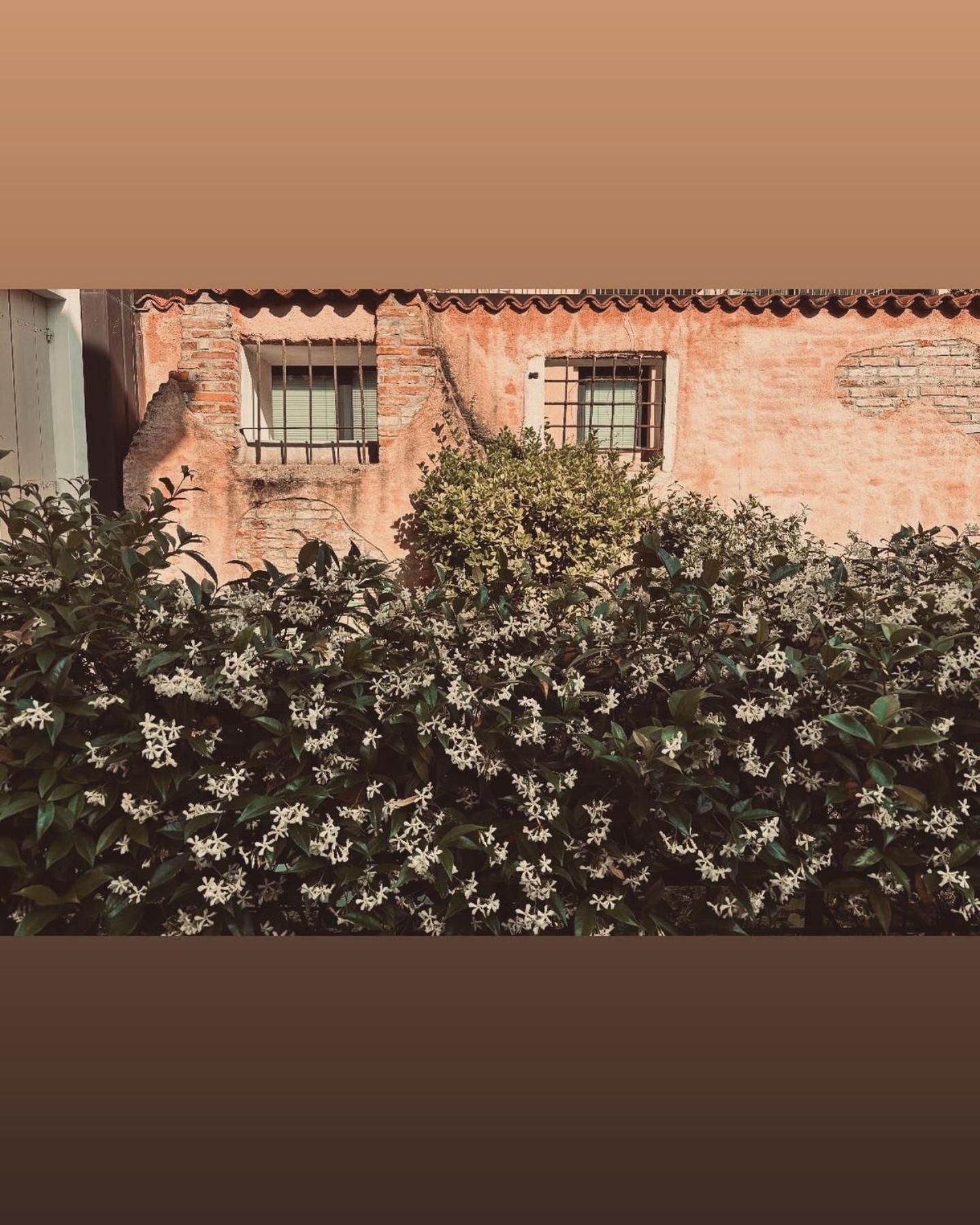 Casa Wabi Venice Mestre